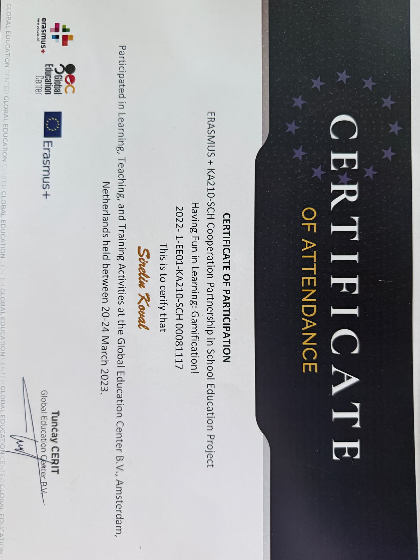 Having Fun in Learning: Gamification